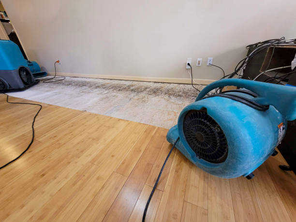 Reliable Flood Damage Restoration contractor in Caroline, WI by Hirex Water Damage